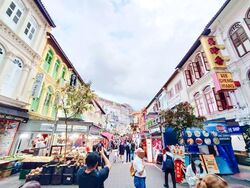 Royal At Chinatown (D1), Retail #581579461